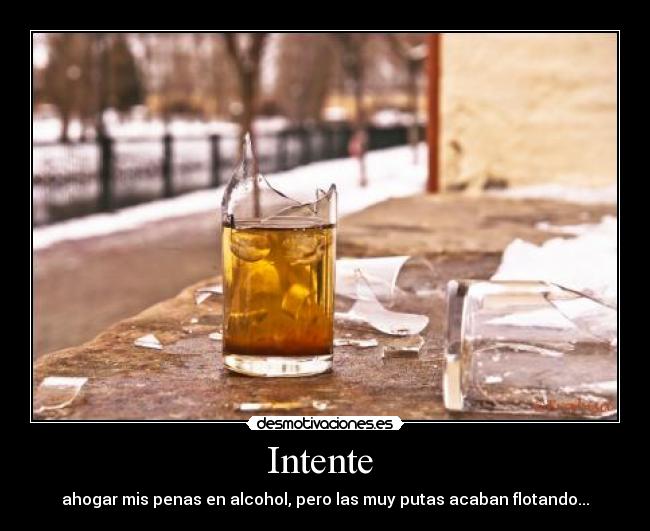 carteles intente alcohol penas flotando ahogar desmotivaciones