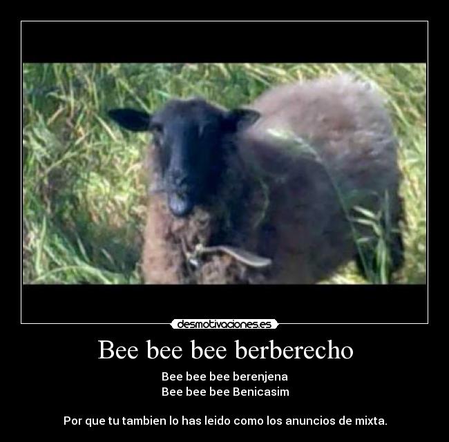 Bee bee bee berberecho - 