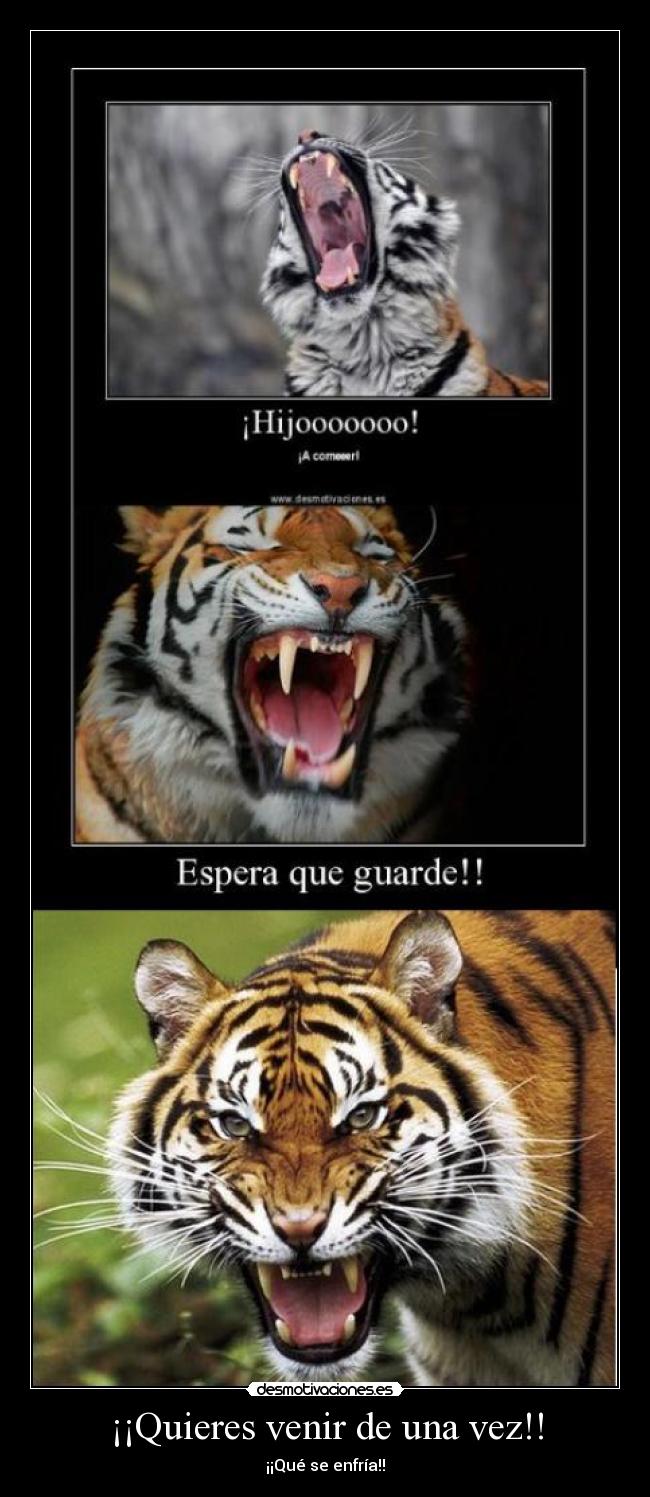 ¡¡Quieres venir de una vez!! - 