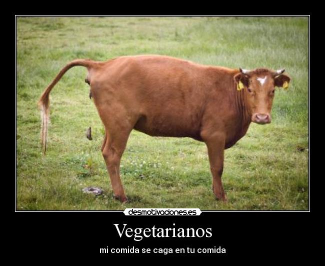 Vegetarianos - 