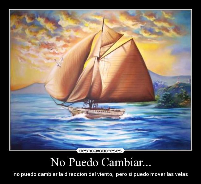 carteles direccion del viento desmotivaciones