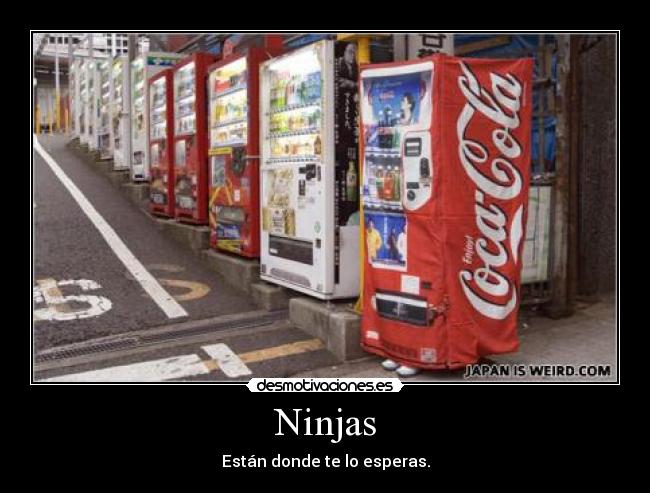Ninjas - Están donde te lo esperas.