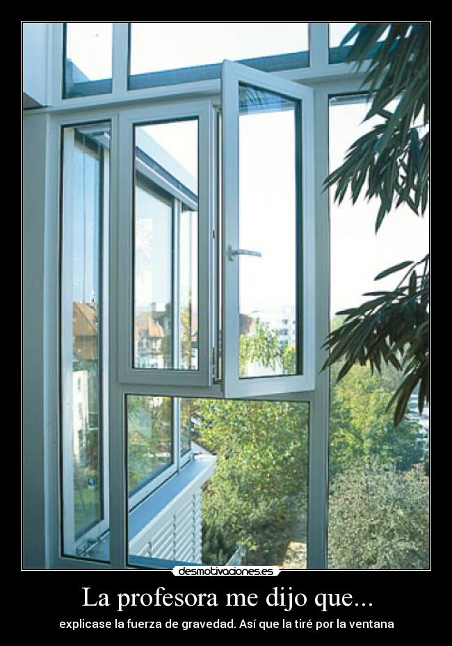 La profesora me dijo que... - explicase la fuerza de gravedad. Así que la tiré por la ventana