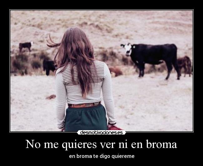 No me quieres ver ni en broma - en broma te digo quiereme