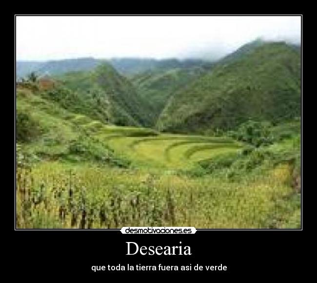 Desearia -