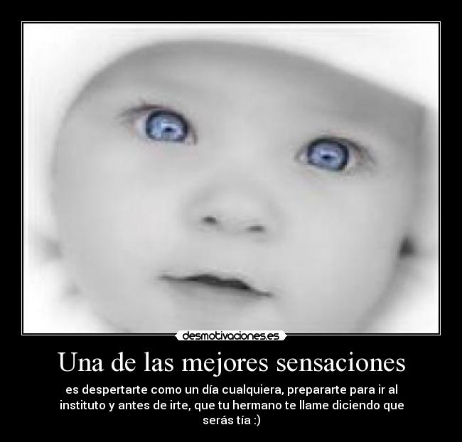 carteles tia sensacion mejor hermano cunada desmotivaciones