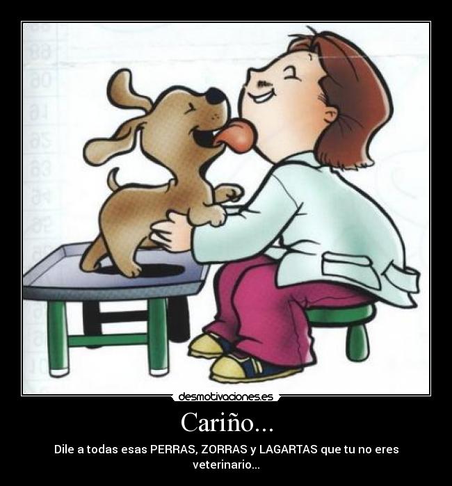 Cariño... - Dile a todas esas PERRAS, ZORRAS y LAGARTAS que tu no eres veterinario...