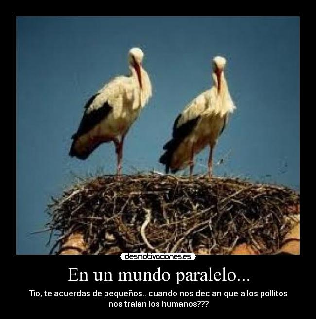 En un mundo paralelo... - Tio, te acuerdas de pequeños.. cuando nos decian que a los pollitos
nos traían los humanos???
