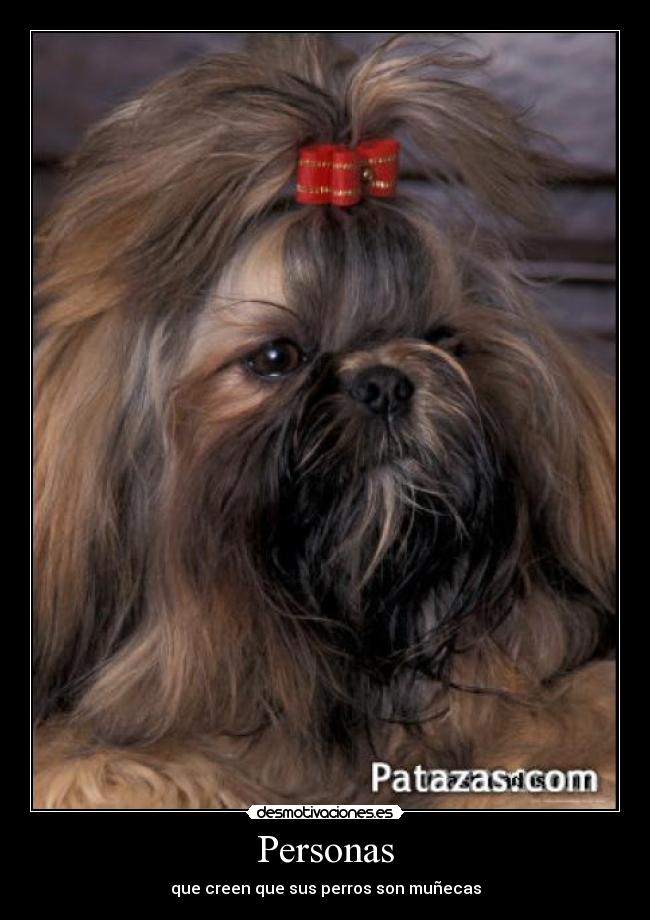 carteles personas desmotivaciones