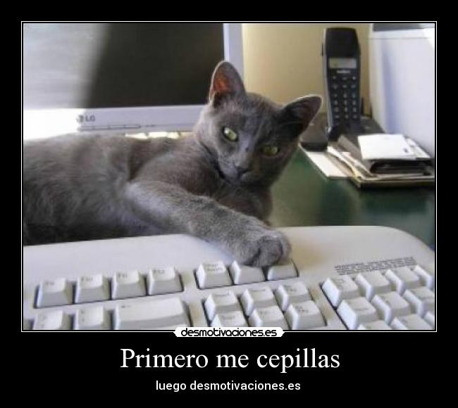 Primero me cepillas -