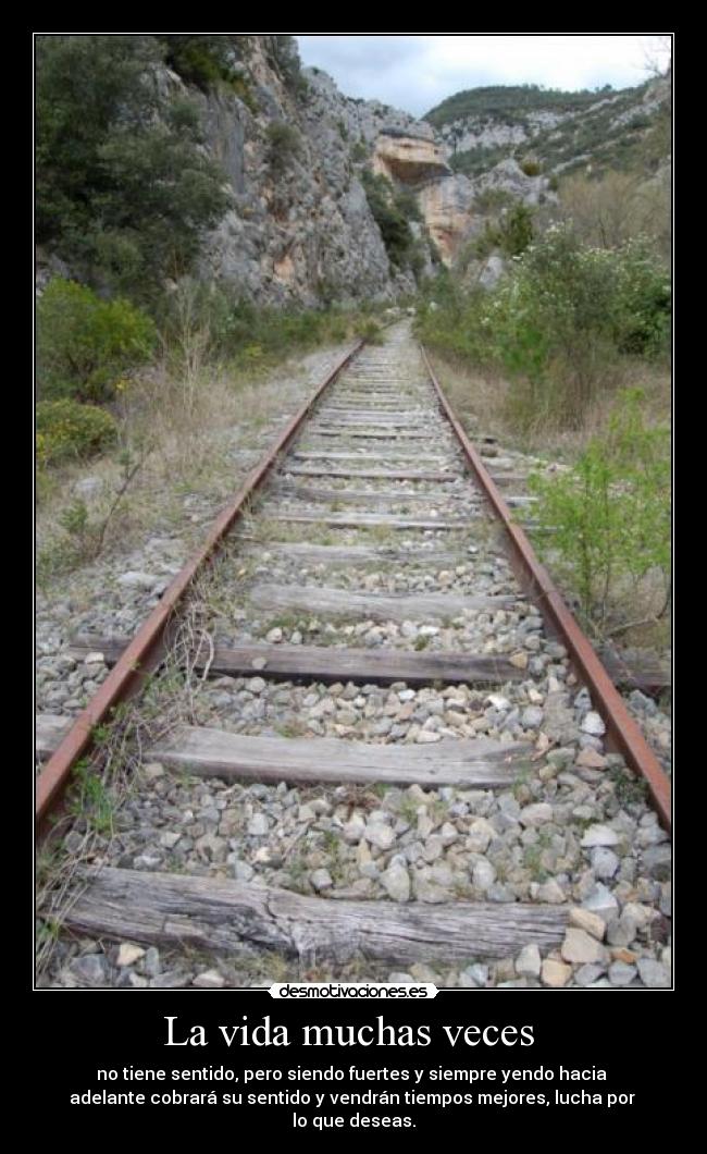 La vida muchas veces  - 