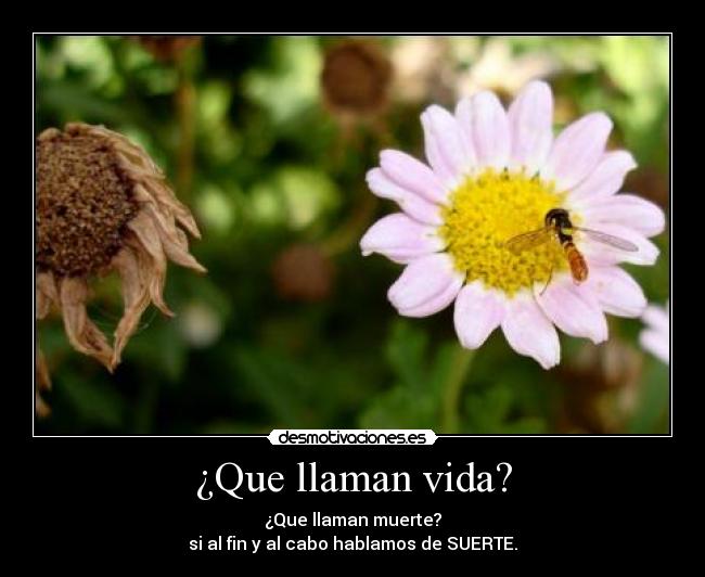 ¿Que llaman vida? - ¿Que llaman muerte?
si al fin y al cabo hablamos de SUERTE.