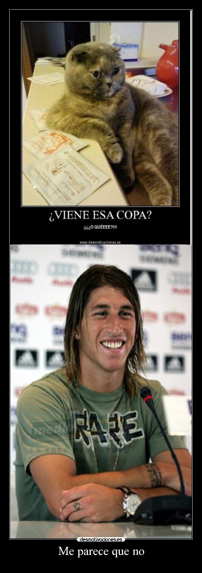 carteles sergioramosgatocopa desmotivaciones