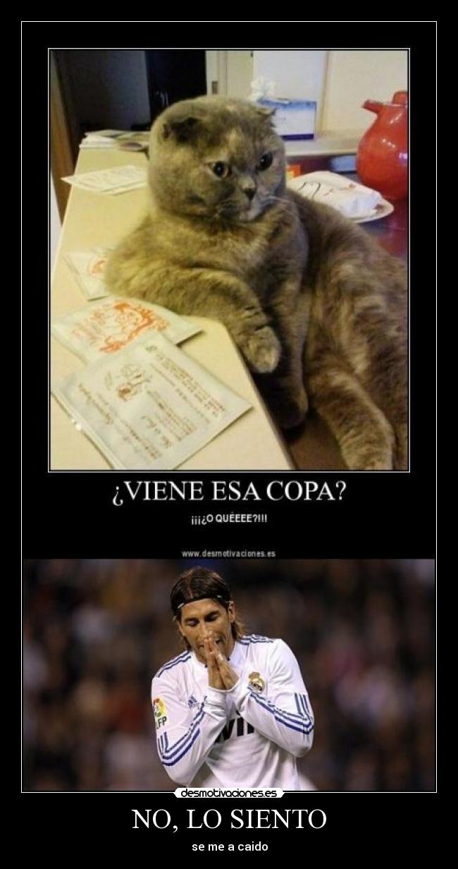 NO, LO SIENTO - se me a caido
