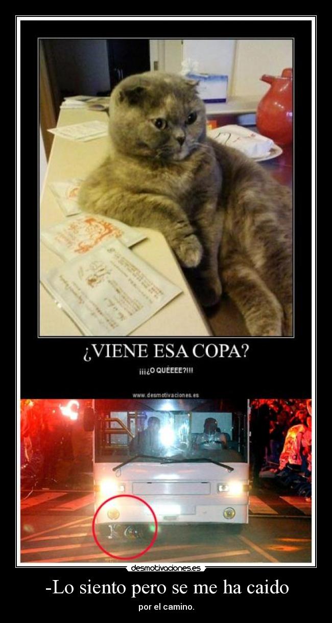 -Lo siento pero se me ha caido -