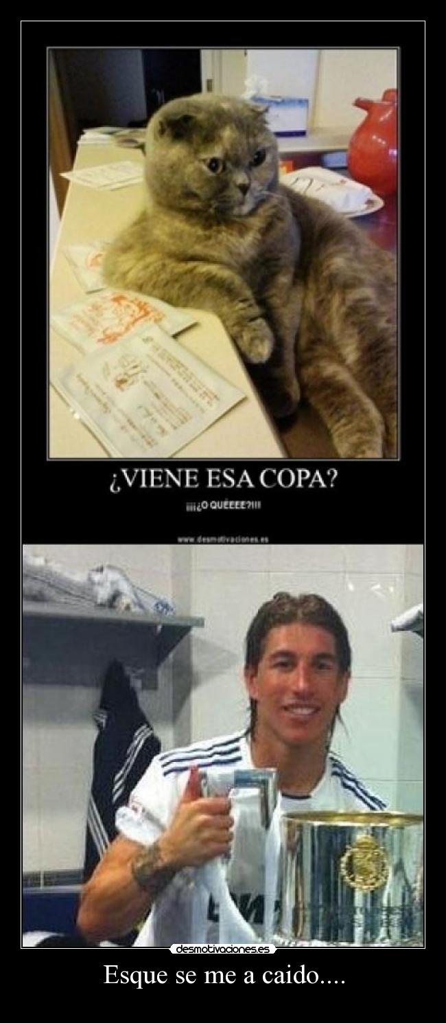 Esque se me a caido.... - 