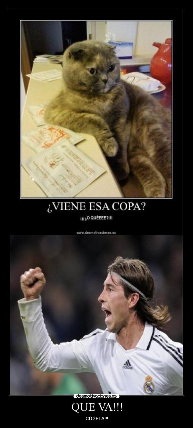 QUE VA!!! - CÓGELA!!!