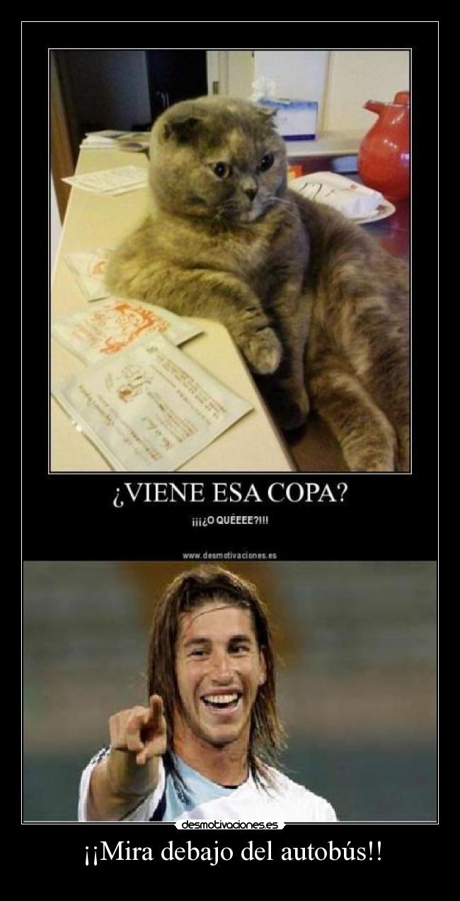 ¡¡Mira debajo del autobús!! -