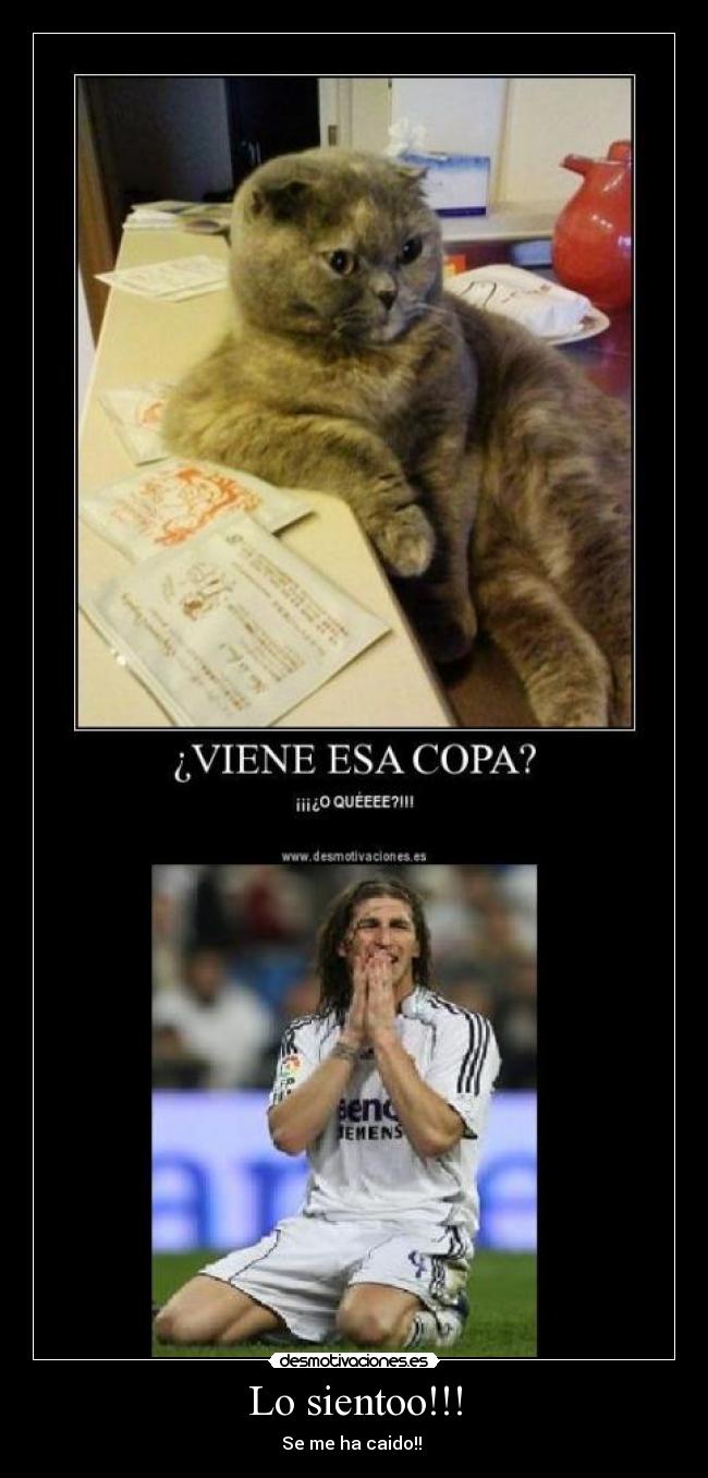 Lo sientoo!!! - Se me ha caido!!