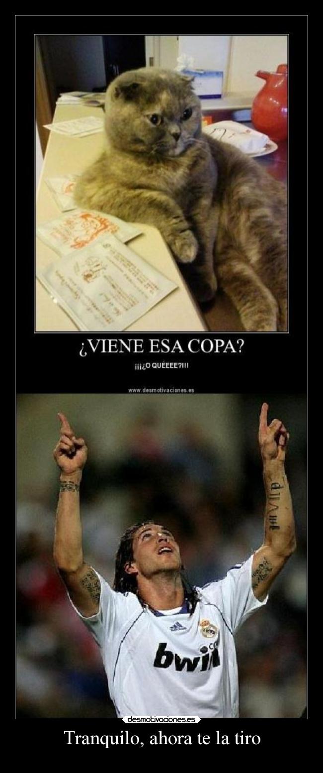 carteles lol desmotivaciones