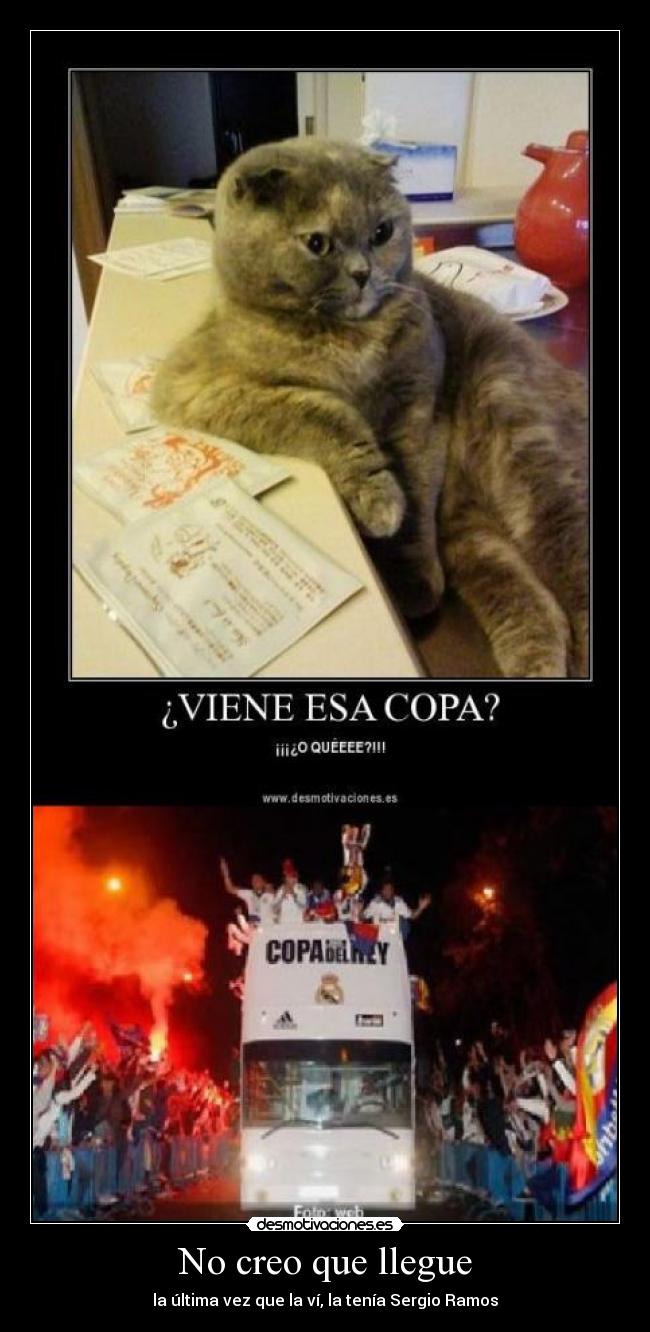 No creo que llegue - la última vez que la ví, la tenía Sergio Ramos