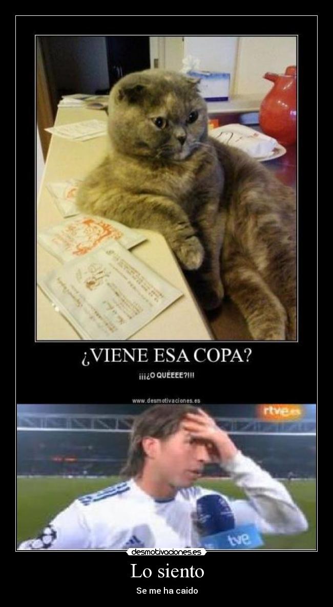 Lo siento - Se me ha caido