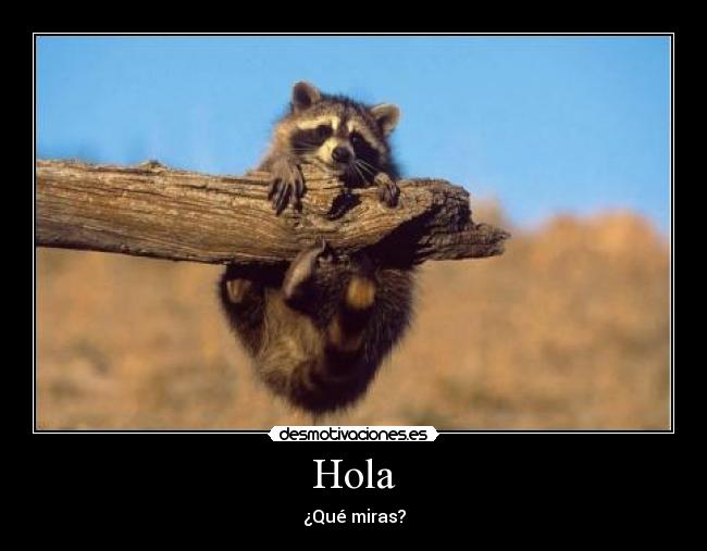 Hola - 
