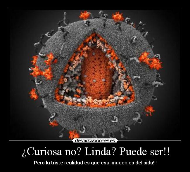¿Curiosa no? Linda? Puede ser!! - Pero la triste realidad es que esa imagen es del sida!!!