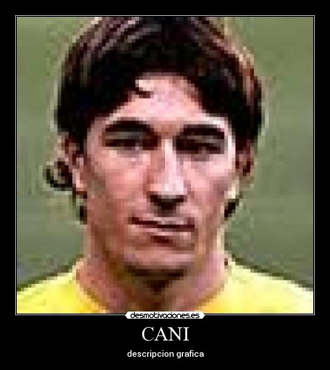 CANI - descripcion grafica