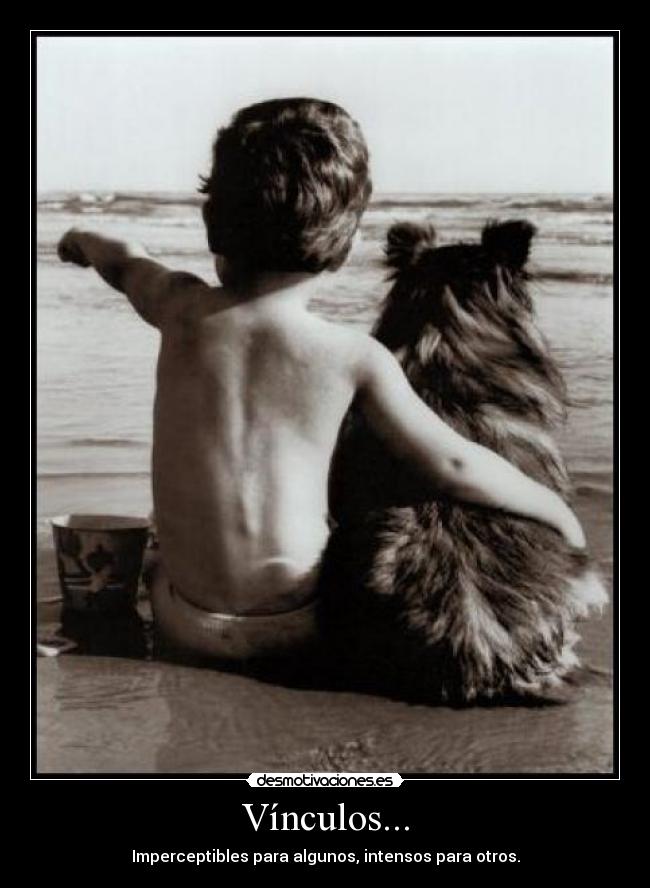 Vínculos... - Imperceptibles para algunos, intensos para otros.