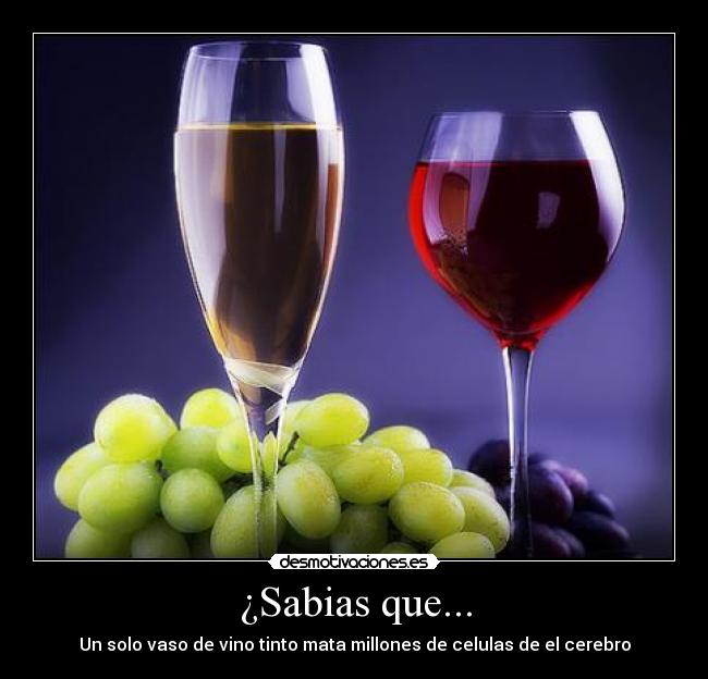 ¿Sabias que... - Un solo vaso de vino tinto mata millones de celulas de el cerebro
