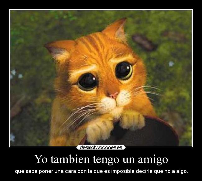 Yo tambien tengo un amigo - que sabe poner una cara con la que es imposible decirle que no a algo.