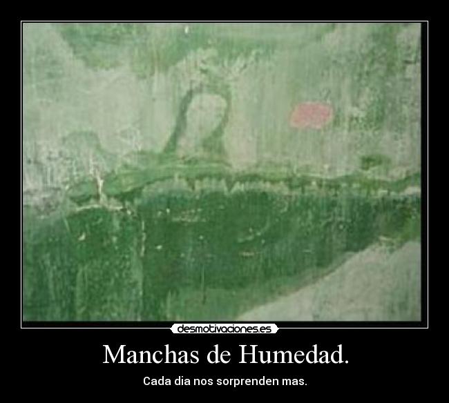 Manchas de Humedad. - Cada dia nos sorprenden mas.