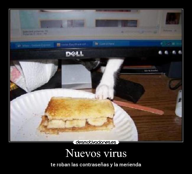 Nuevos virus - te roban las contraseñas y la merienda