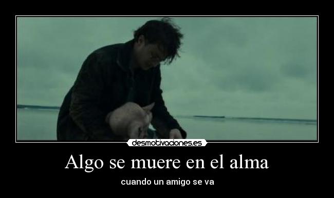 Algo se muere en el alma - cuando un amigo se va