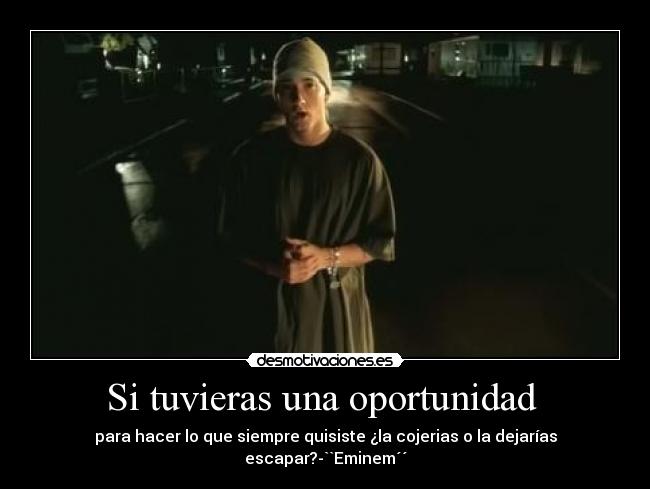 Si tuvieras una oportunidad - para hacer lo que siempre quisiste ¿la cojerias o la dejarías escapar?-``Eminem´´