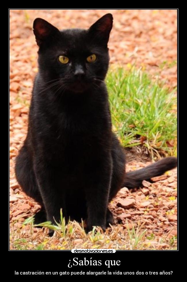 carteles der desmotivaciones