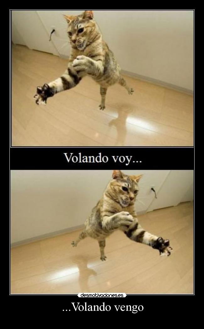 ...Volando vengo - 