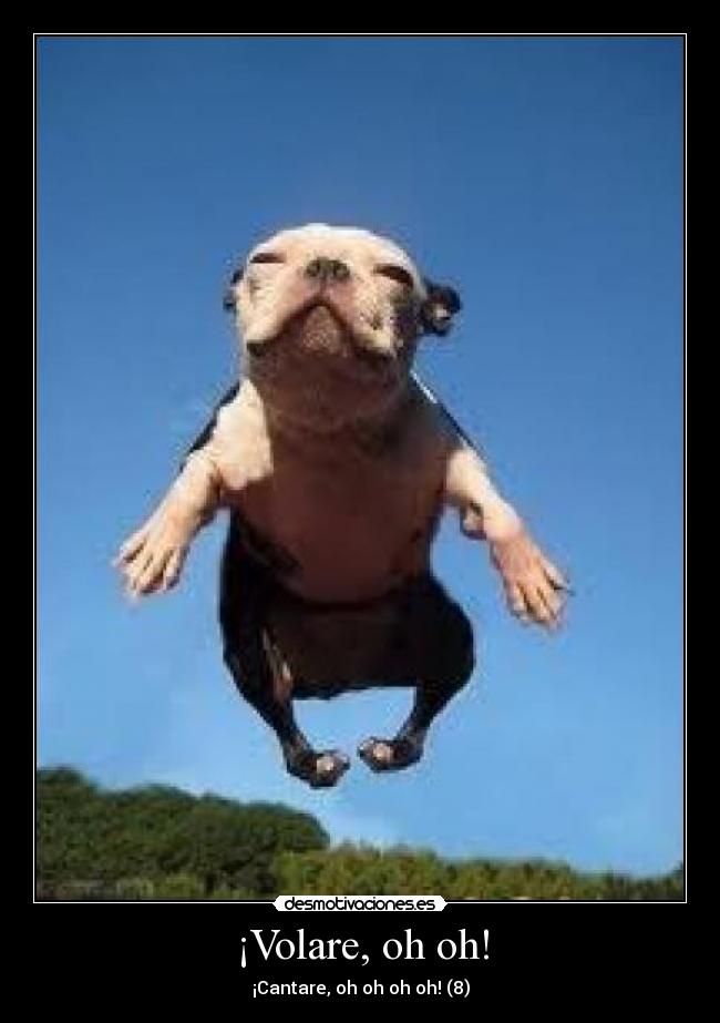 ¡Volare, oh oh! - ¡Cantare, oh oh oh oh! (8)