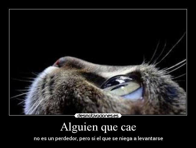 Alguien que cae - 