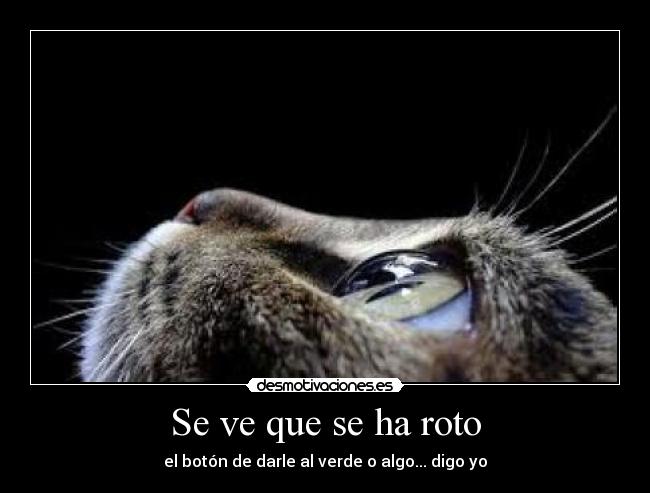 Se ve que se ha roto -