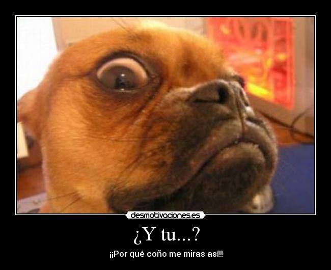 ¿Y tu...? - ¡¡Por qué coño me miras así!!