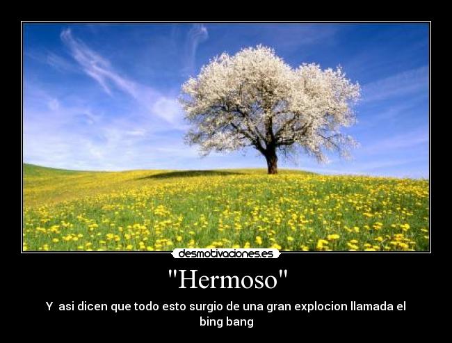 Hermoso - 