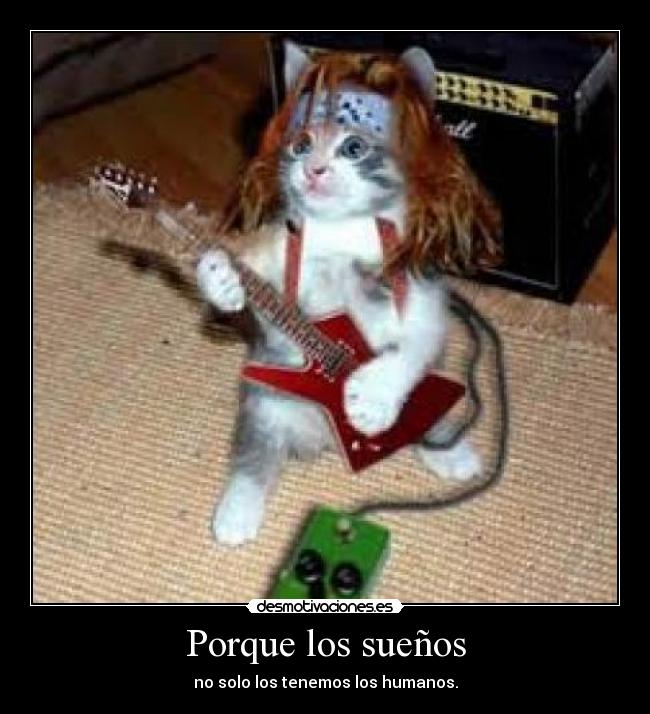 carteles gato quiere ser rockero desmotivaciones