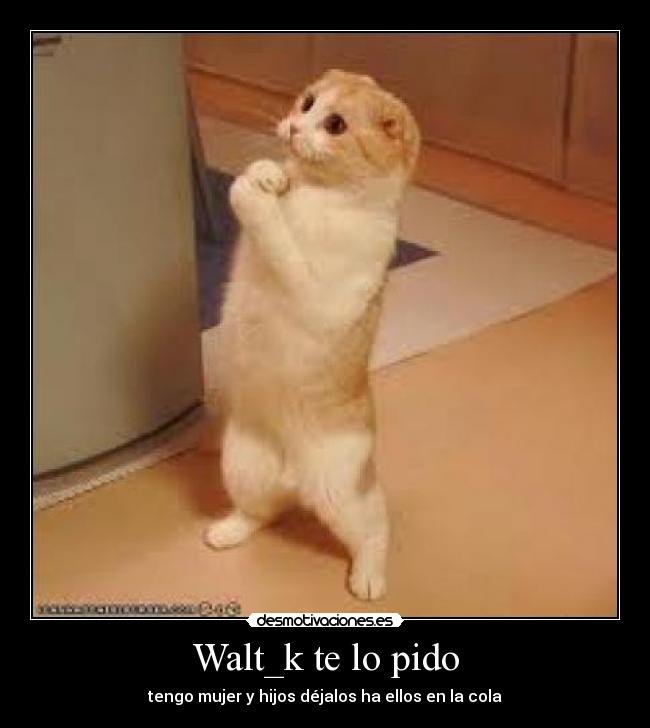 Walt_k te lo pido - tengo mujer y hijos déjalos ha ellos en la cola