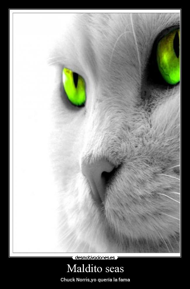 Maldito seas -