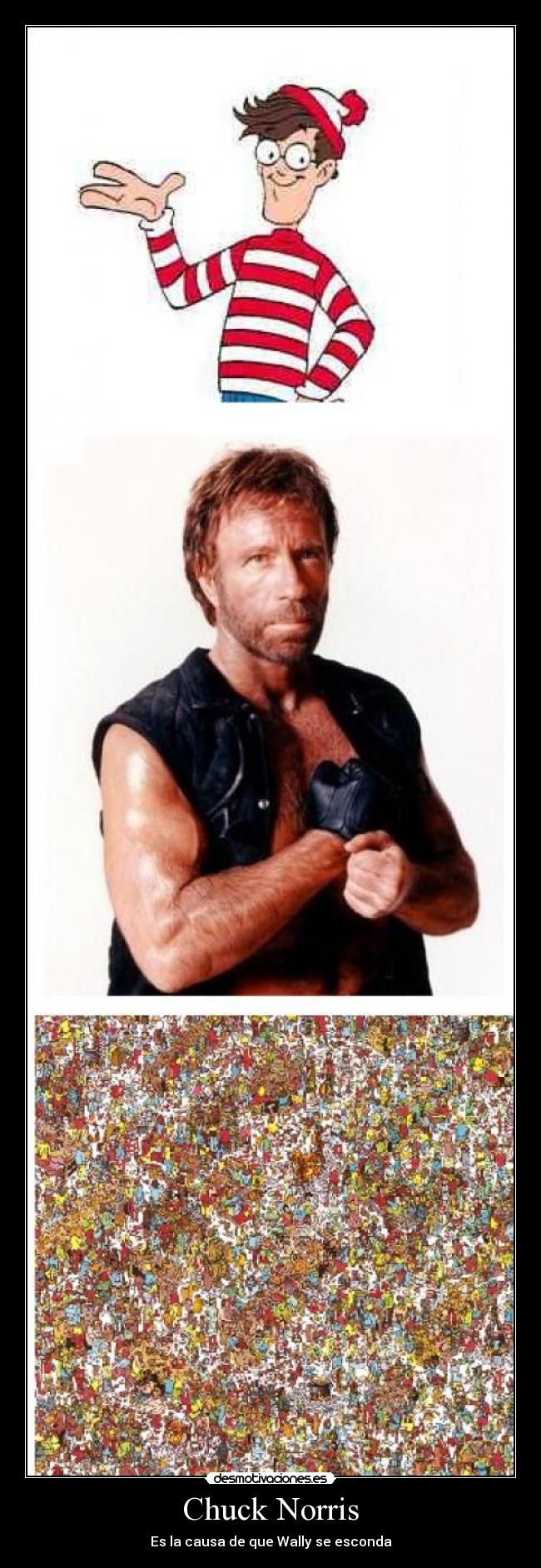 Chuck Norris -