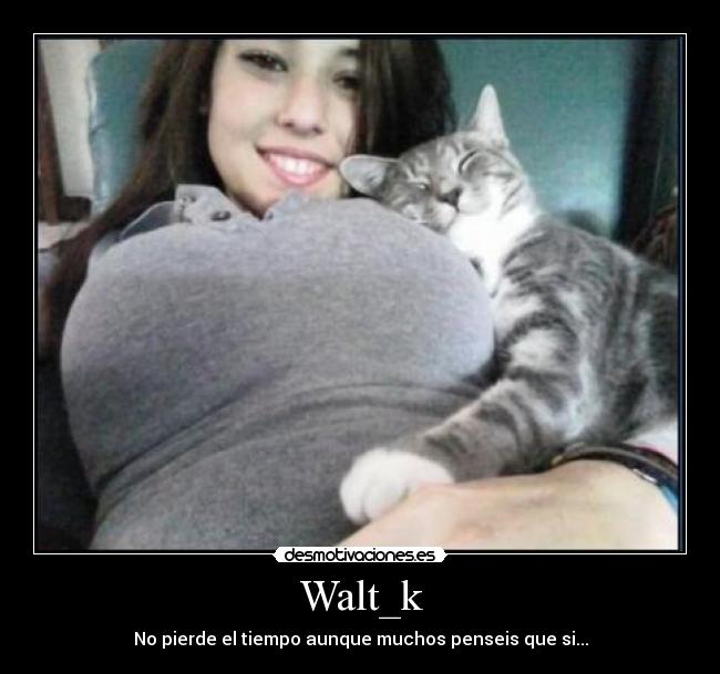 Walt_k - No pierde el tiempo aunque muchos penseis que si...