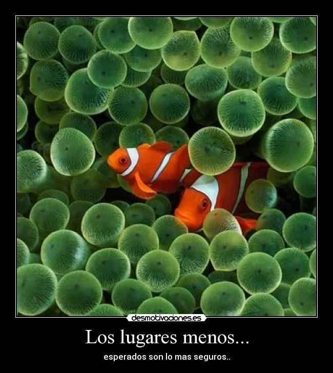 Los lugares menos... - 