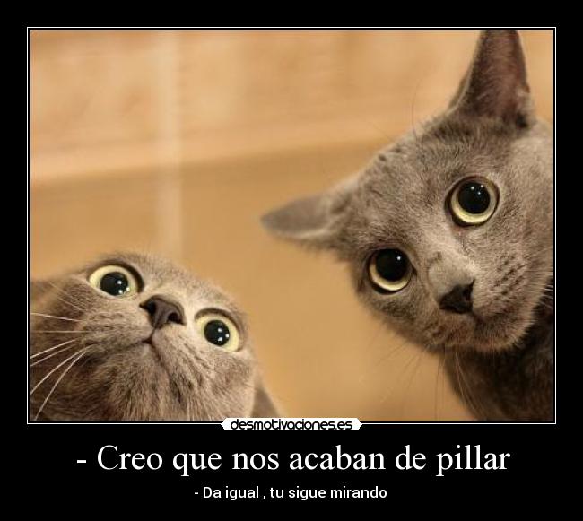 - Creo que nos acaban de pillar - 